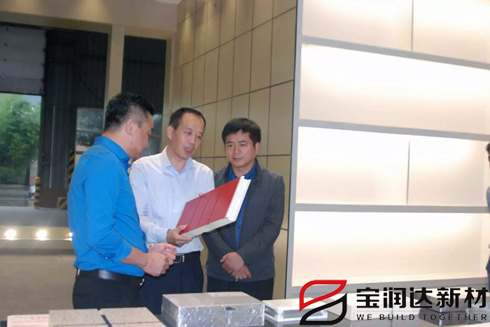 市产业集聚区冀伟主任一行来访宝润达参观